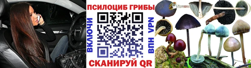 Псилоцибиновые грибы Magic Shrooms  Ахтубинск 